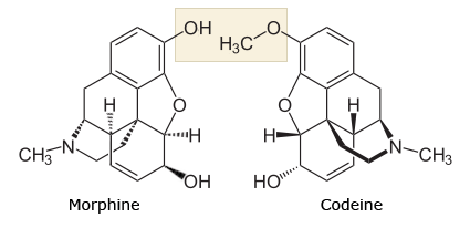 morphine and codeine